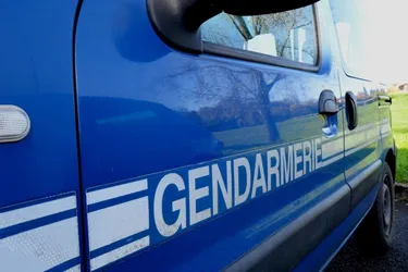 Un homme suspecté de violences sur son ex-compagne interpellé à Bessay-sur-Allier