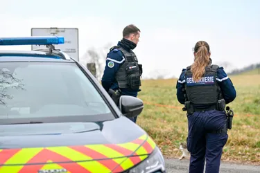 Quatre hommes interpellés par les gendarmes de Montluçon pour une escroquerie de près de 440.000 euros