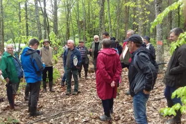Comment l'Adaf aide-t-elle les propriétaires forestiers en haute et moyenne Corrèze ?