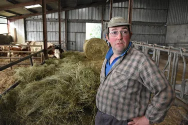 Un éleveur de Tortebesse (Puy-de-Dôme) accuse les éoliennes d'être à l'origine du décès d'une partie de ses vaches