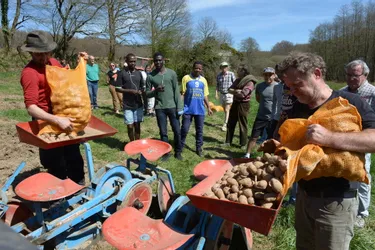 En Creuse, des paysans plantent des patates avec les plus démunis et les Restos du cœur