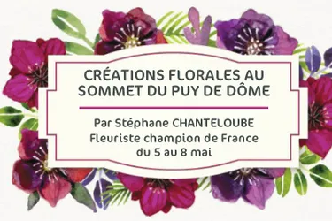 Les créations florales du fleuriste champion de France au sommet du puy de Dôme