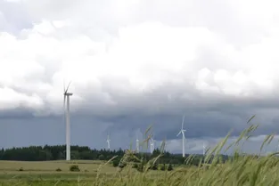Le vent en poupe avec les éoliennes