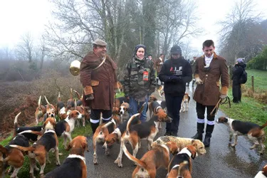Choc culturel en Creuse : une vingtaine de militants anti-chasse à courre face à 100 veneurs et suiveurs