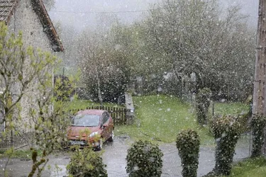 Les premières neiges attendues demain en Limousin