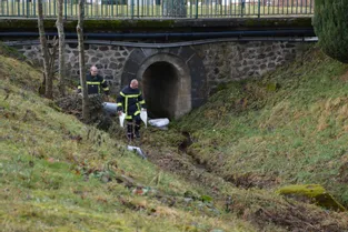 Un ruisseau en amont du plan d'eau de La Tour d'Auvergne (Puy-de-Dôme) touché par une pollution accidentelle