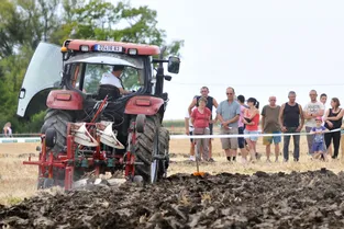 Terr' en fête : 14 agriculteurs réunis au concours régional de labour à Boucé