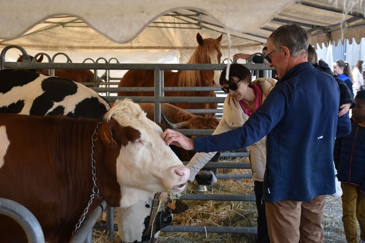 Animaux, marché de producteurs, démonstrations… Une immense ferme va bientôt s’installer sur la place du Breuil au Puy-en-Velay