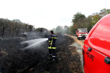 Trente hectares ravagés par un feu à Chéniers