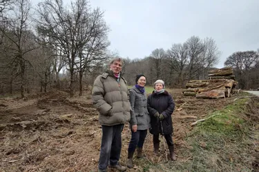 En Creuse, une association se pose en vigie de l'exploitation des bois