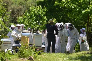 Le rucher du Haut-Allier, sur les hauteurs de Langeac, accueille de nombreux stagiaires