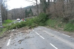 Un arbre tombé au sol barre la RD 943