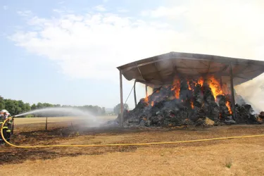 4.000 tonnes de fourrage ont été entièrement détruites par un incendie