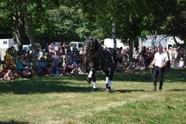 La 4e Fête du cheval et du terroir organisée sur le site de Saint-Nazaire a eu lieu, hier