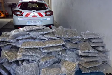 310 kilos d’herbe de cannabis saisis sur les autoroutes du Puy-de-Dôme en l’espace de six jours
