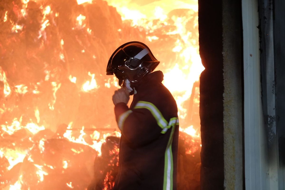 Condamnés pour des incendies volontaires dans le secteur de Randan "C — free download