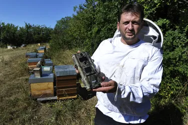 Les apiculteurs du Puy-de-Dôme n’ont pas été épargnés par les vols