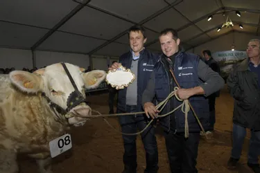 Allier : gagner la Super Finale nationale de la race charolaise n'a pas aidé ce groupe agricole
