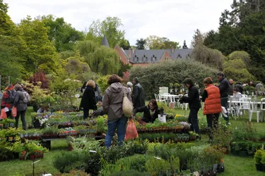 Amis des jardins - Balaine fête les plantes ce week-end