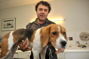 Des soins vétérinaires estimés à environ 100 euros par mois indispensables en période de croissance