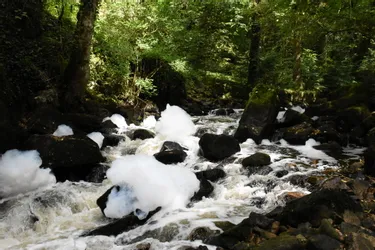 Pollution sur la rivière La Montane (Corrèze) : pas de danger pour l'eau potable selon la préfecture