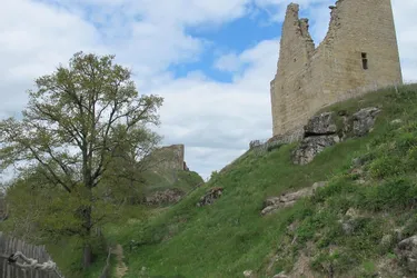 L’axe médiéval est-ouest entre Berry, Limousin et Poitou livre encore des secrets historiques