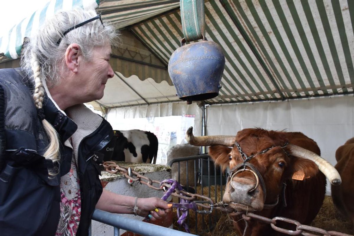 La foire des cours de gien va repartir en 2024 pour une journée complète