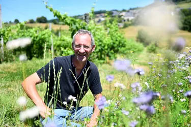 Un vigneron libre penseur chargé de la conversion en bio au Saillant en Corrèze