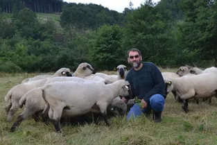 Quatre producteurs d’ovins puydômois participent au concours