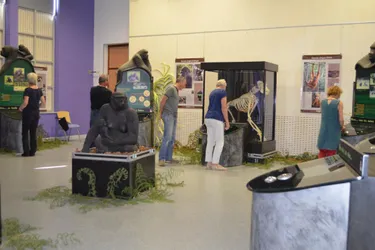 Les expositions visibles dans l'agglomération moulinoise