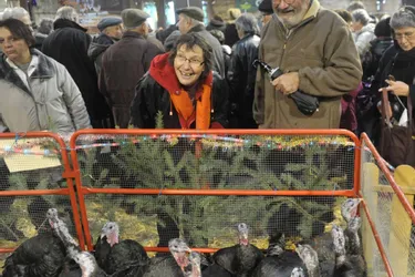 Vingt éleveurs et 900 animaux sont attendus mercredi matin à Jaligny-sur-Besbre