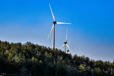 Projets éoliens en Livradois-Forez : « Actuellement, le PNR donnerait un avis défavorable aux projets en cours », selon Tony Bernard