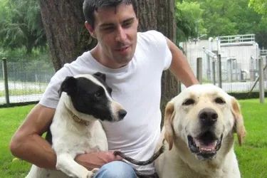 Deux chiens attendent un maître au Refuge animalier
