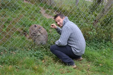L’ex-propriétaire du zoo du Bouy va être remis en liberté