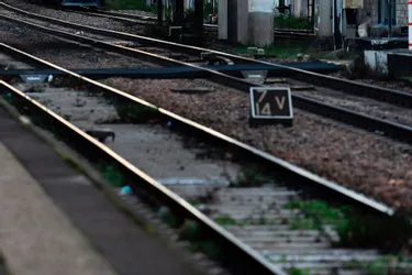 Un mort et une trentaine de blessés dans le déraillement d'un train aux Pays-Bas