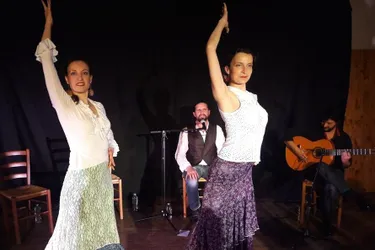 Ambiance tablao flamenco pour la soirée