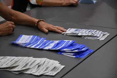 Élections départementales et régionales : Vichy (Allier) recherche des assesseurs pour les scrutins et la tenue des bureaux de vote
