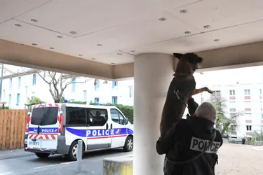 Le trafiquant présumé jugé en comparution immédiate devant le tribunal correctionnel de Clermont-Ferrand