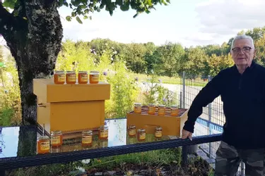 Découverte d’une petite production artisanale et locale de miel