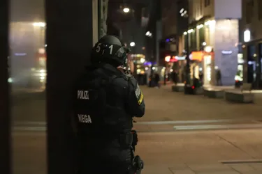 Autriche : fusillade près d'une synagogue à Vienne, le chancelier évoque une "répugnante attaque terroriste"