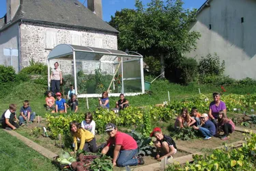 Les écoliers transformés en jardiniers