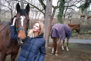 De la Vendée au Puy-de-Dôme, l'énigme des chevaux retrouvés morts avec une oreille découpée