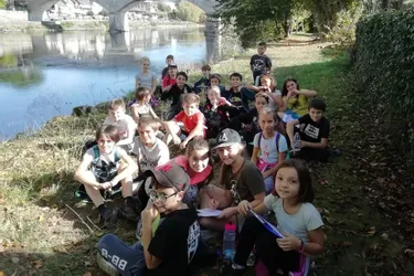 Les élèves de l'école primaire découvrent la rivière espérance
