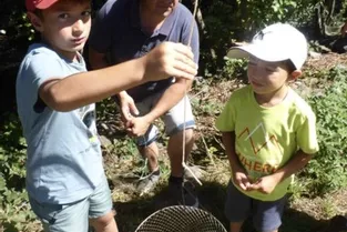 Atelier pêche aux écrevisses sur l’Alagnon