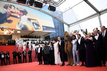 Festival de Cannes : les conseils d'un jeune Creusois pour briller sur le tapis rouge