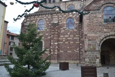 Les sapins de Noël ont été installés en ville