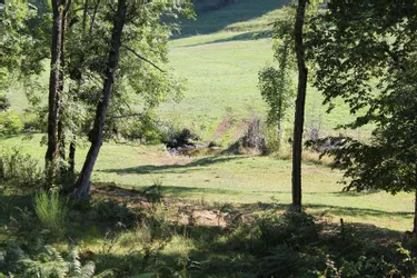 Un site Natura 2000 dédié aux écrevisses