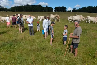 Vacances à la ferme : besoin de comprendre l'agriculture dans le Puy-de-Dôme