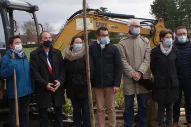 Une politique écologique volontariste du conseil départemental de l'Allier pour boiser le bord des routes