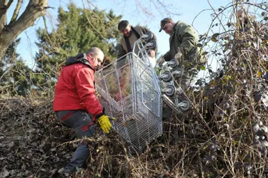 Une centaine de bénévoles a nettoyé les berges de l’Allier de Varennes à Villeneuve